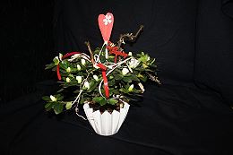 Alles Gute zum Muttertag!