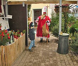 Weihnachtsbaum-Verkauf bei Seppelfricke