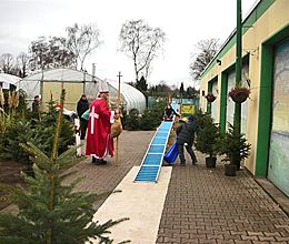Weihnachtsbaum-Verkauf bei Seppelfricke